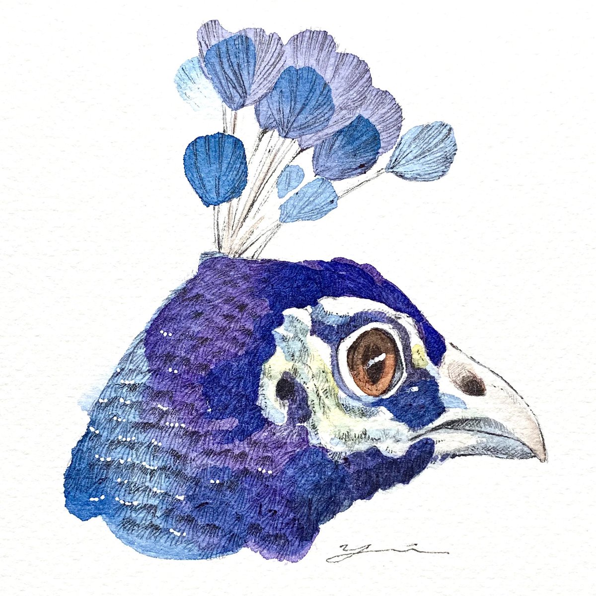 仕事絵で頭が爆発するかと思ったので息抜きに孔雀を描きました かわいい 高津 ゆい Takatsu Yuiのイラスト