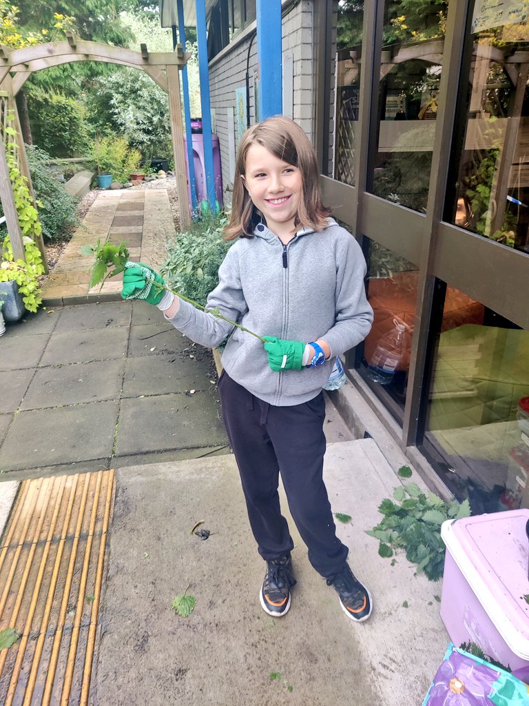 DairsiePS's tweet photo. P5/6/7 have been risk assessing our woodland area, working together clearing the paths and foraging for nettles today. We have learned how to turn the nettles into string, and look forward to using them to make some bracelets next week. #DairsieDoesOutdoorLearning #BushCrafts https://t.co/l8YO84OHMl