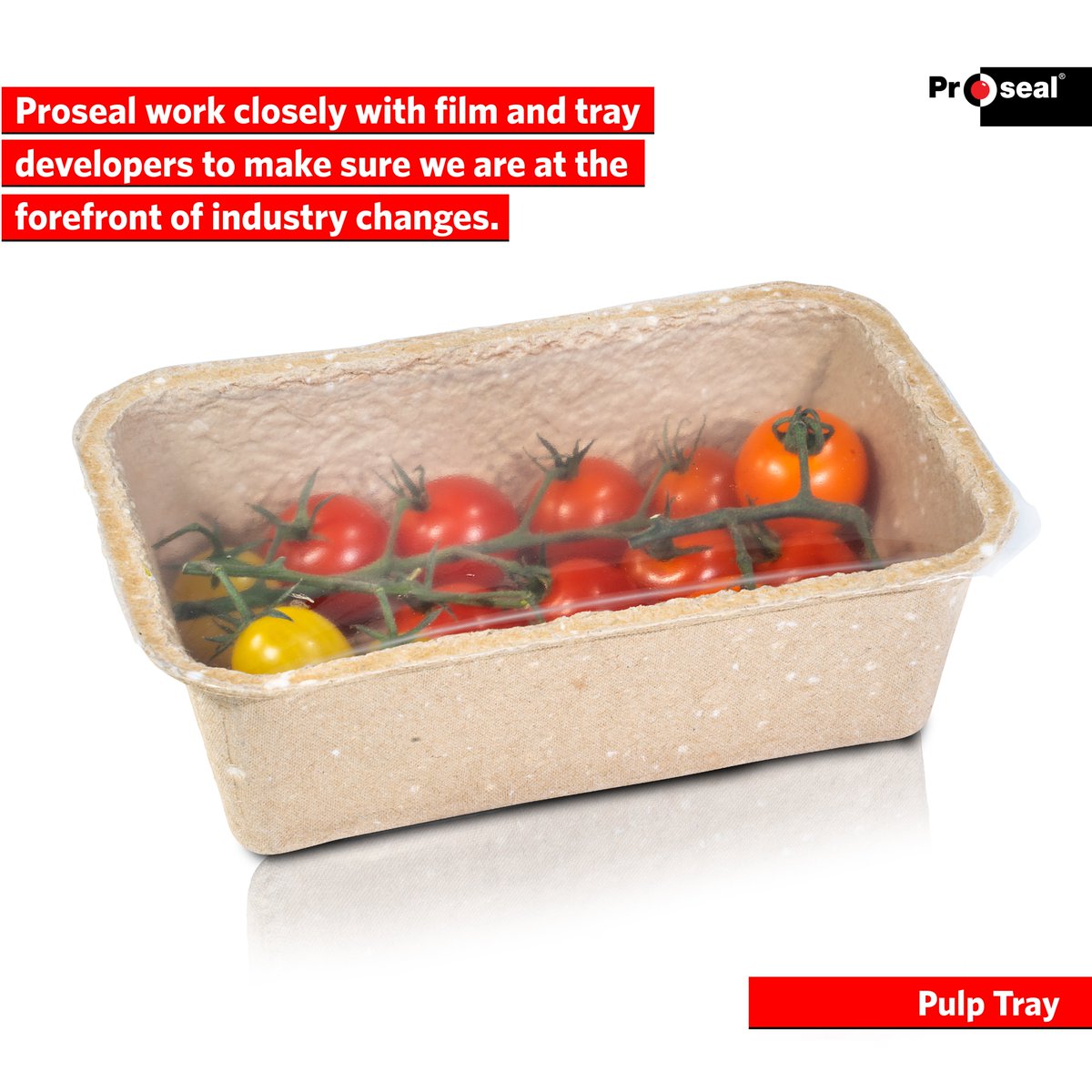 ProsealAmerica's tweet photo. We are LIVE at the @ProduceCouncil's Southern Innovations Show!

Be sure to stop by Booth 507 to discover how Proseal's tray sealing solutions can transform your packaging operation today!

#SouthernInnovations #OneJBT #Proseal #TraySealing #SoftFruit #Produce #Sustainability https://t.co/szel5Glwud