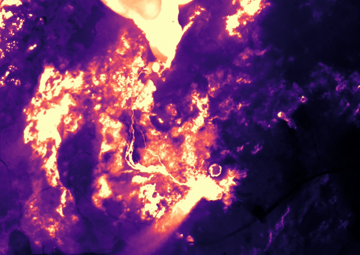 Using #thermal and #RGB sensors, we provide frequent #environmental monitoring of #geothermal areas to analyze any temperature and texture change.