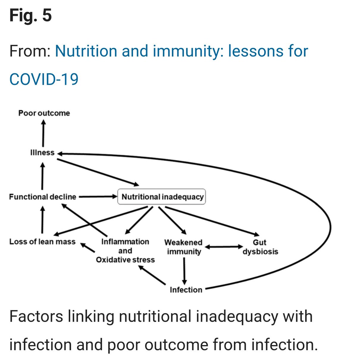NutDiab_Journal's tweet image. The adverse impact of poor #nutrition on the #ImmuneSystem, including its inflammatory component, may be one of the explanations for higher risk of more severe outcomes from infection with #COVID19 seen in older people and in those living with #obesity. doi.org/10.1038/s41387…