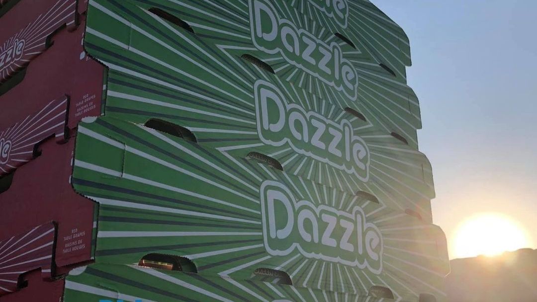 Good morning! Rise and shine it's harvest time for our #crew to pick the most delicious #California #greengrapes you'll ever taste. Meet #Dazzle!