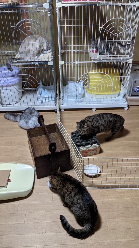 ヒロッぴ tweet media