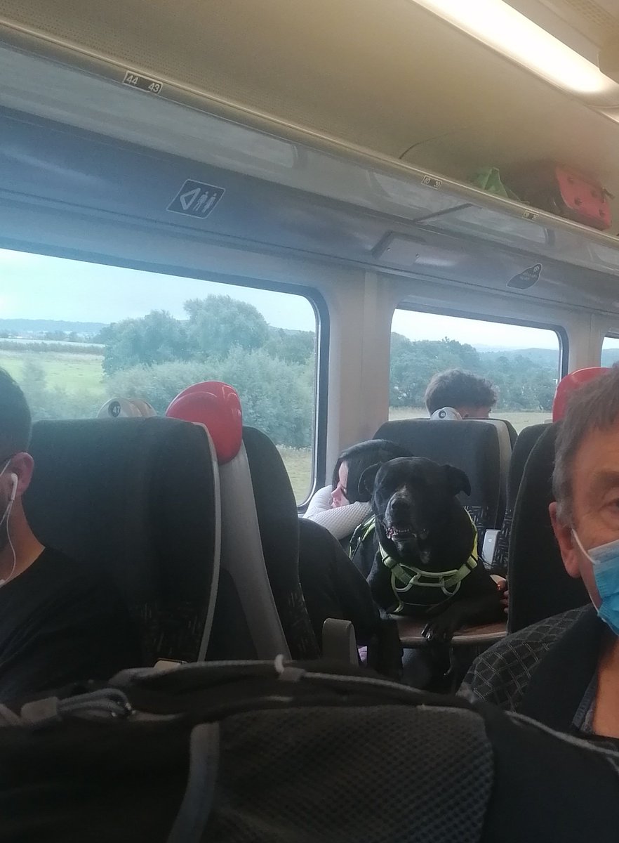 HelenatWales's tweet photo. @tfwrail Sorry to say that a couple on the West Wales to Manchester train have refused to give up 2 spare seats, one of which had their dog on it. Which is now on the table. They were incredibly rude when asked to make space, unbelievable sense of entitlement! #rude https://t.co/rJmvEgAxOX
