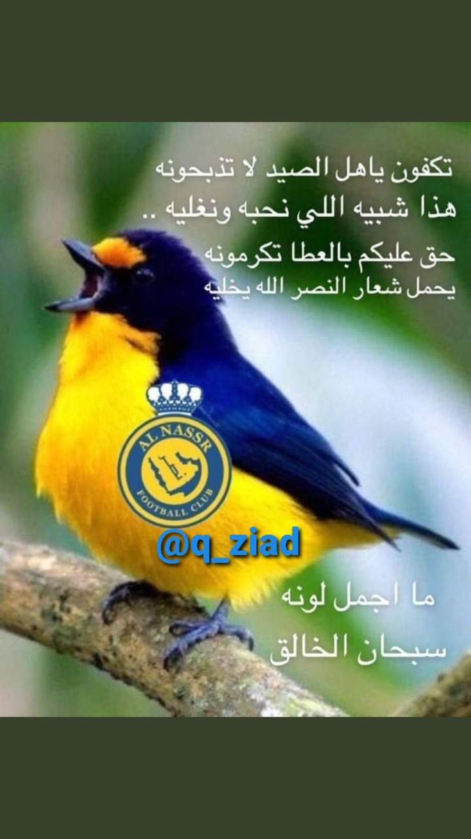 Saad (@saad62438395) on Twitter photo 