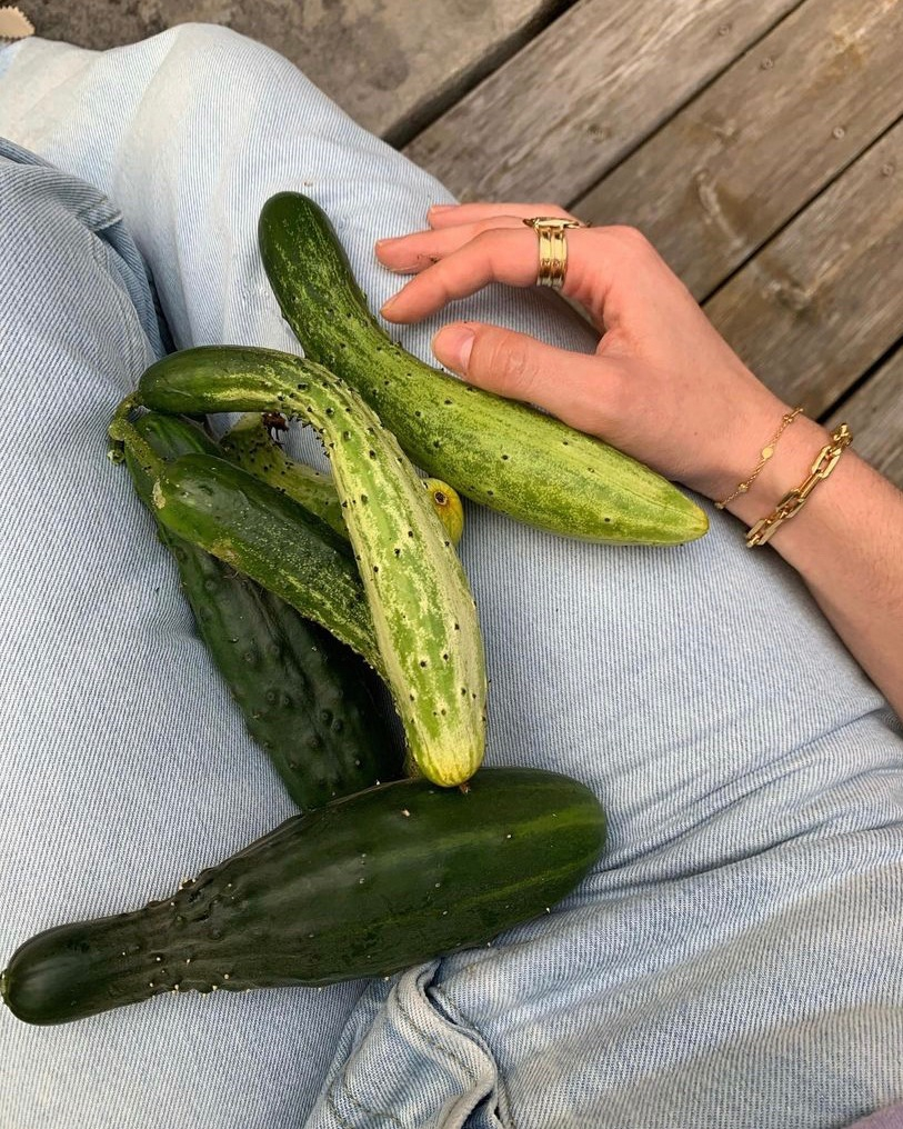 diligentdenim's tweet photo. Sweater weather is right around the corner and I am already missing the sun and sweet summer fruits. 🍓

Ever wonder what else you can do with those yummy fruits? Check out #DiligentDenim blog to learn how brands are turning food to fashion! 🧵Link in bio! ⤴️ https://t.co/0P2SmhGfmf