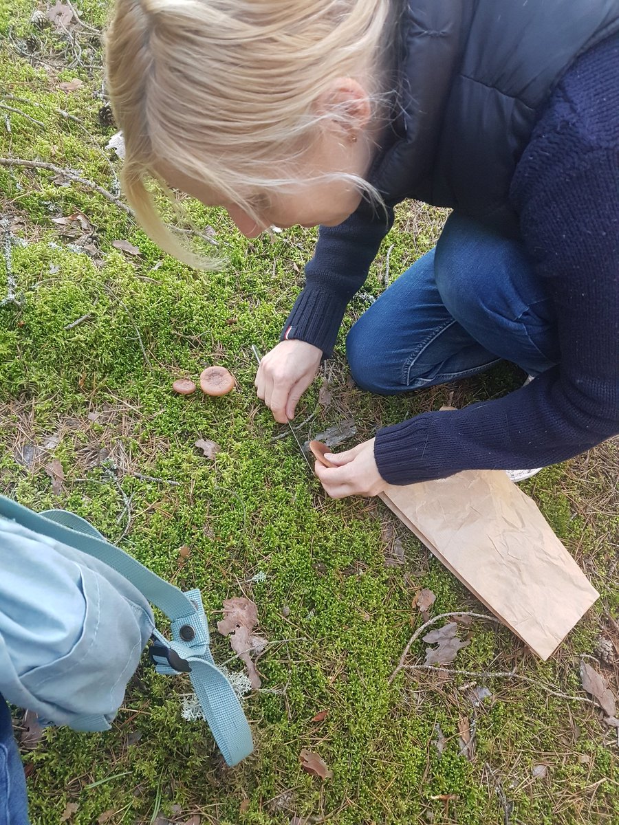 Our weekly forest learning. This week students learned how to forage for mushrooms.