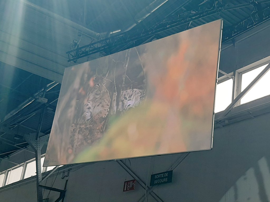 Flora Clodic-Tanguy ✍ tweet media