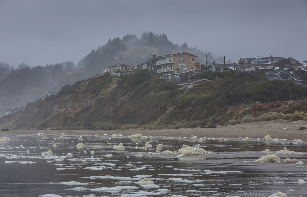 The Oregonian tweet media