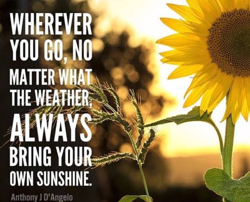 DanicaDreamer's tweet photo. Happy Friday! 🌞🌻🌞 #FridayFeeling #sunshinepredicted #weekendvibes #alwaysbringyourbest #attitudeiseverything #bepositive #youalwayshaveachoice #choosehappy #lifeistooshort #liveyourbestlife #makeithappen #danicadreamer https://t.co/IxKfofLyTk