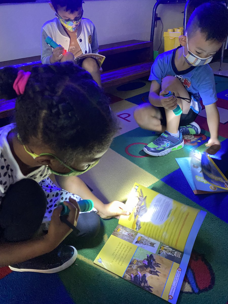 Ms. Eng 📚📝 tweet media