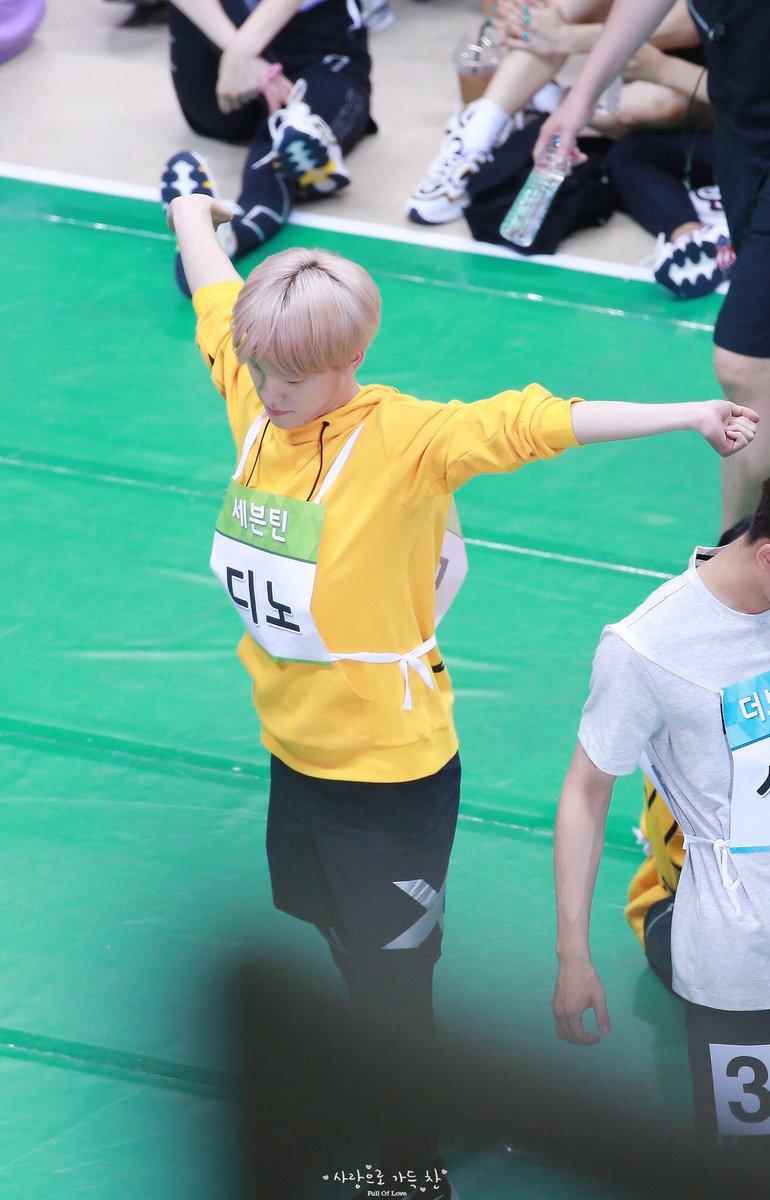 320. 디노는 기지개를 켜는 모습이 귀엽다.
#디노 #세븐틴 #이찬