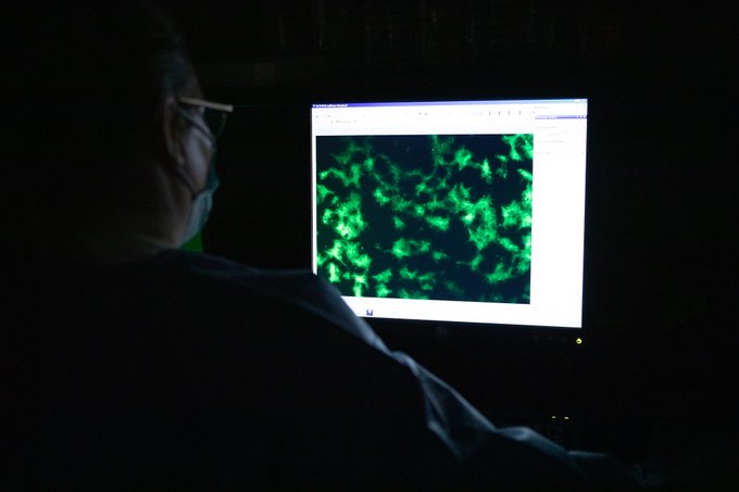 ABL's biomarker analysis is the dependable, quality service to accurately serve as your early diagnostic tool for the efficacy of therapeutic interventions.

ABL has the right immunology specialists to get the job done!

Learn more:
ablinc.com/biomarker-cyto…