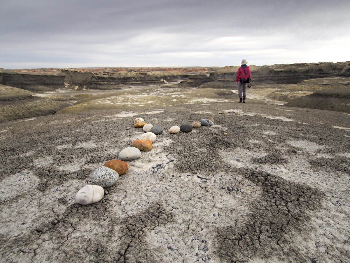 AdventureProMag's tweet image. #Hiking
Trails around the Four Corners that will help even the most novice of hikers get outside this fall.

4 Hikes for All Ability Levels: bit.ly/3nlERme