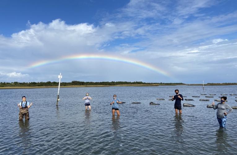 Duke Marine Lab tweet media