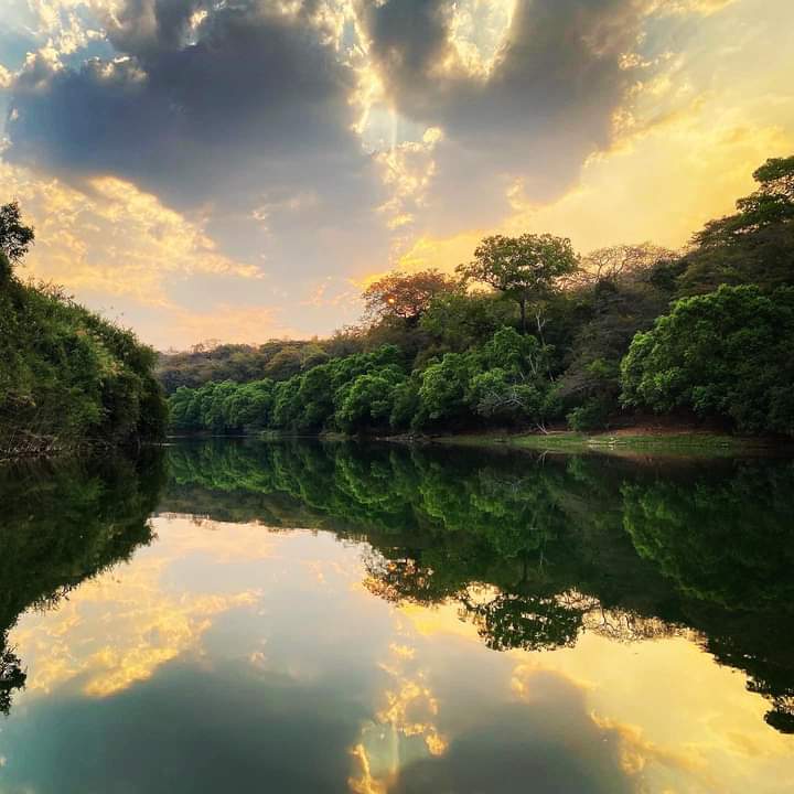 TheBridgeZambia's tweet photo. Just another reason why you should visit #Mwinilunga in the North Western Province of #Zambia. Soon you will be able to Live|Farm|Play the #BridgeConsortiumWay Get in touch to find out more https://t.co/11M5SdL9DM