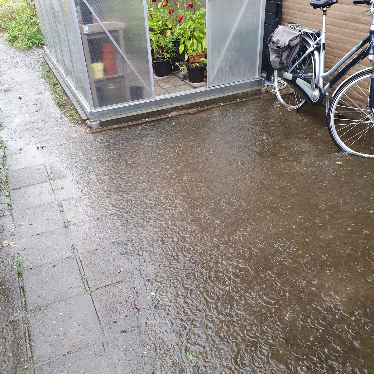 Pluvius en Donar geven Vorden #Achterhoek een nazomerwaterballet vol gedonder: binnen drie kwartier 29 mm neerslag. <a href="/weermanrobert/">➡️ Robert de Vries</a> @Talpaweer <a href="/weeronline/">Weeronline</a> <a href="/helgavanleur/">Helga van Leur ☀</a> en het regent heerlijk door.