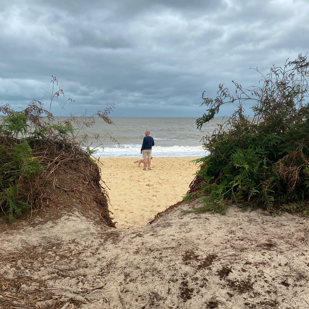 O&C Butcher tweet media