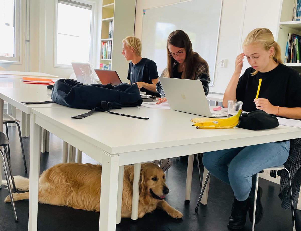 JAM Nederland tweet media