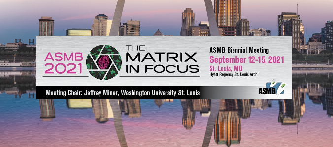 amsocmatbio's tweet photo. Don't miss out on the #ASMB2021 #Award #Winning #ECMatrix #Science and join our Award Talk Session on Sunday, Tuesday and Wednesday #InPerson or #Virtual!!! 

ALSO: #Congratulations to all #TravelAward #Winners!!!

Check our #program and #Whova for more details #MeetUsInStLouis https://t.co/0e2WegffT3