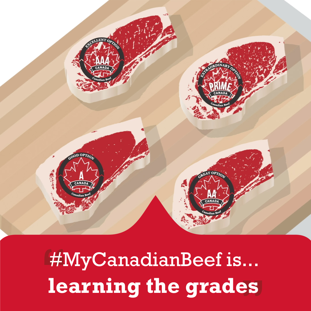 CanadianBeef's tweet photo. Learn the ins and outs of beef grading! Watch advocate Steven Hellman, interview Michael Young, President of Canada Beef on all things #CanadaBeef! 
https://t.co/yR6PBbbm8Q https://t.co/N1KTvMMayZ