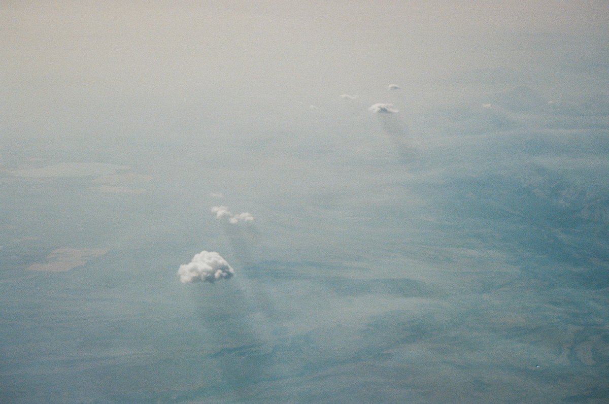 aidantooth's tweet image. the film                          the photo