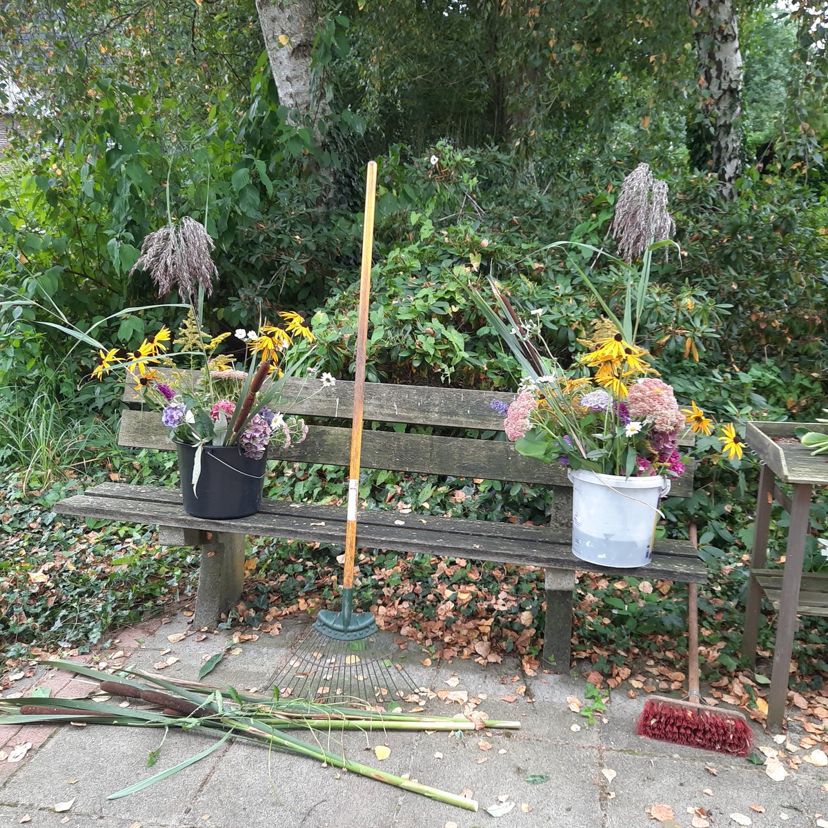 patrick42koning's tweet image. Vandaag de tuinman en tuinvrouw geholpen in de #beleeftuin van #RespijthuisPatrick. De #gasten kunnen nu weer met de rolstoel en rollator het pad bewandelen. 
Ook twee mooie #veldboeketten samen gesteld voor in de huiskamer. @_maisonpatrick #respijtzorg #logeeropvang