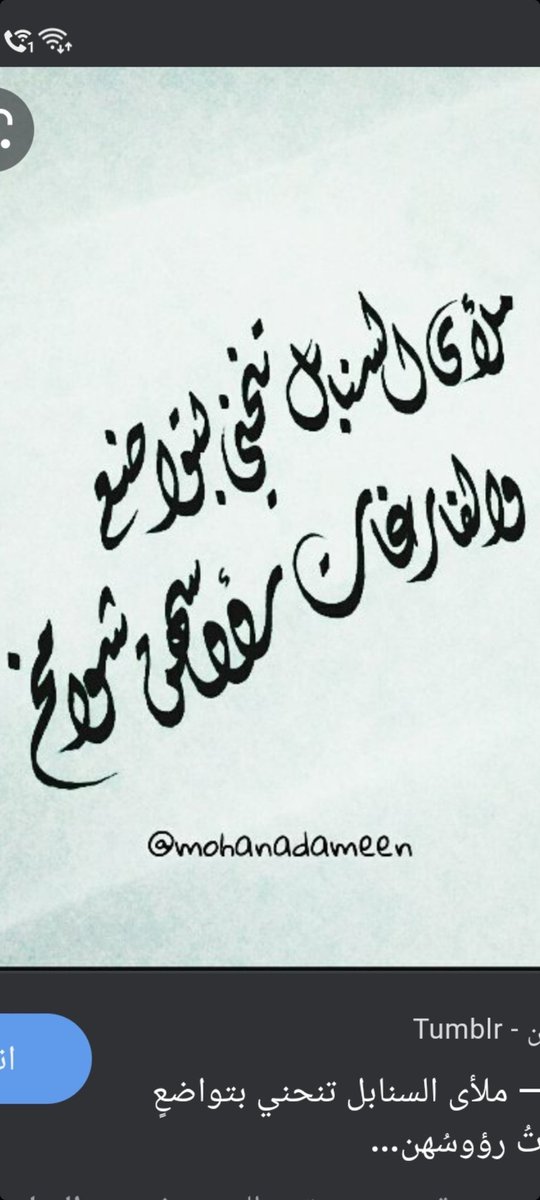 khaliday123's tweet photo. @NAWAFMSZ لاتنظر إلى مايقولون https://t.co/uppOqDnWyS