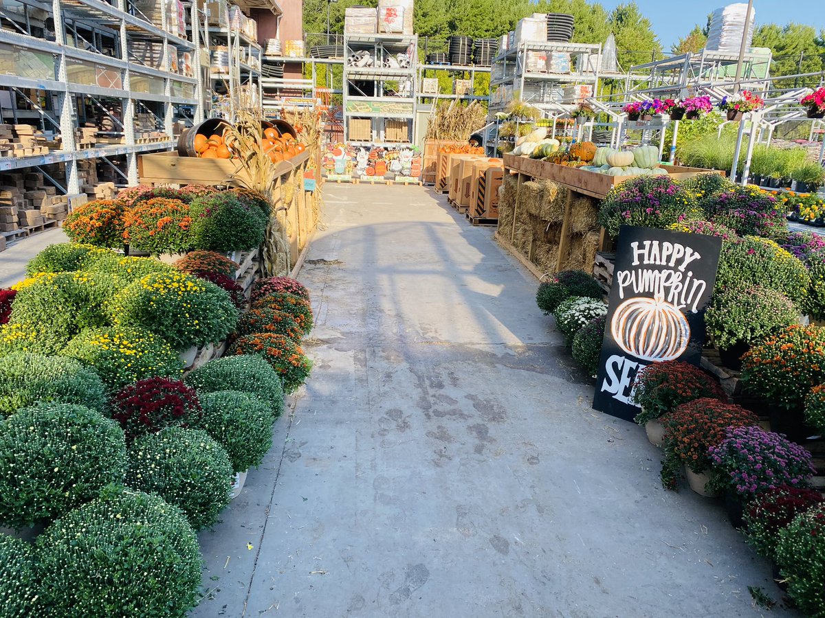 Ashley (@wolff1012016) on Twitter photo Happy Pumpkin Season 🎃 <a href="/jeffreyTNyberg/">Jeffrey T Nyberg</a> <a href="/JenLien34/">Jennifer Lien</a> <a href="/THDCharles/">Charles Clark</a> <a href="/belford_melissa/">Melissa Beth Belford</a> Happy Pumpkin Season 🎃 <a href="/jeffreyTNyberg/">Jeffrey T Nyberg</a> <a href="/JenLien34/">Jennifer Lien</a> <a href="/THDCharles/">Charles Clark</a> <a href="/belford_melissa/">Melissa Beth Belford</a>