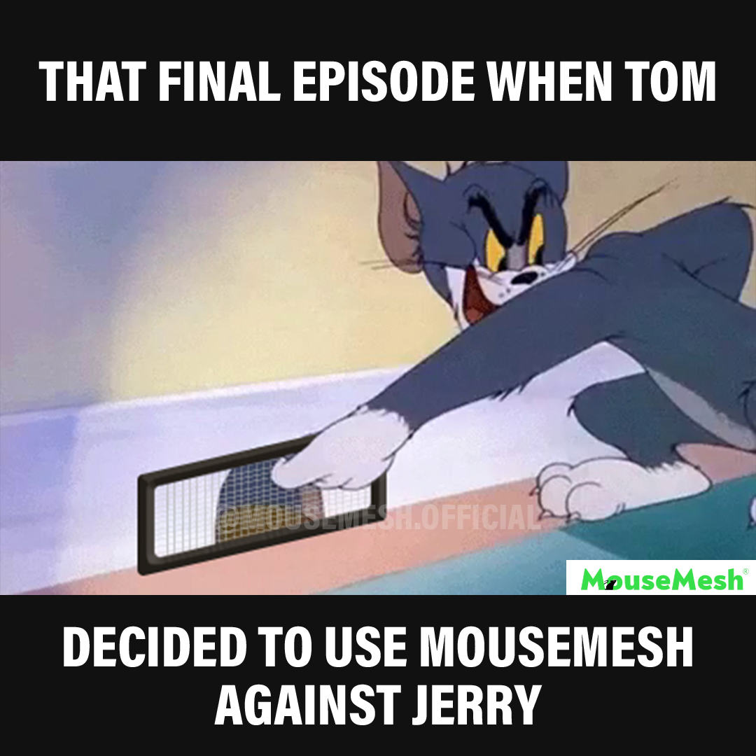 MouseMesh tweet media