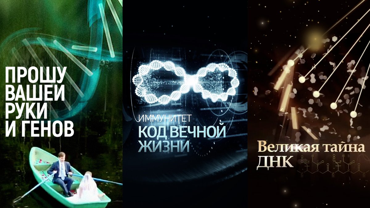 коды брутал strike на нож. технологии вечной жизни. вечная битва 2001. программы для программирования. вечный код.