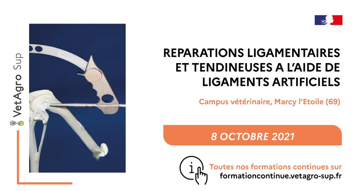 #Formationcontinue #Vétérinaire "Réparations ligamentaires et tendineuses à l’aide de ligaments artificiels" le 08/10/21 avec <a href="/NovetechSurgery/">Novetech Surgery</a>. Découvrez et mettez en pratique les dernières technologies destinées à la chirurgie articulaire ! Infos > formationcontinue.vetagro-sup.fr/formation/AC-C…