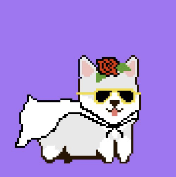 SolanaMees's tweet photo. ✨GIVEAWAY✨

Guys at @Solgis_NFT are launching their #NFT soon and have decided to reward one of our "Floor Sweep" event winners with this awesome Solgi. 

The Solgis are dropping in ~10 minutes at https://t.co/IXFybZoH7R

🎉Show them some love and bring your friends along🎉 https://t.co/D5bWOsYRl6