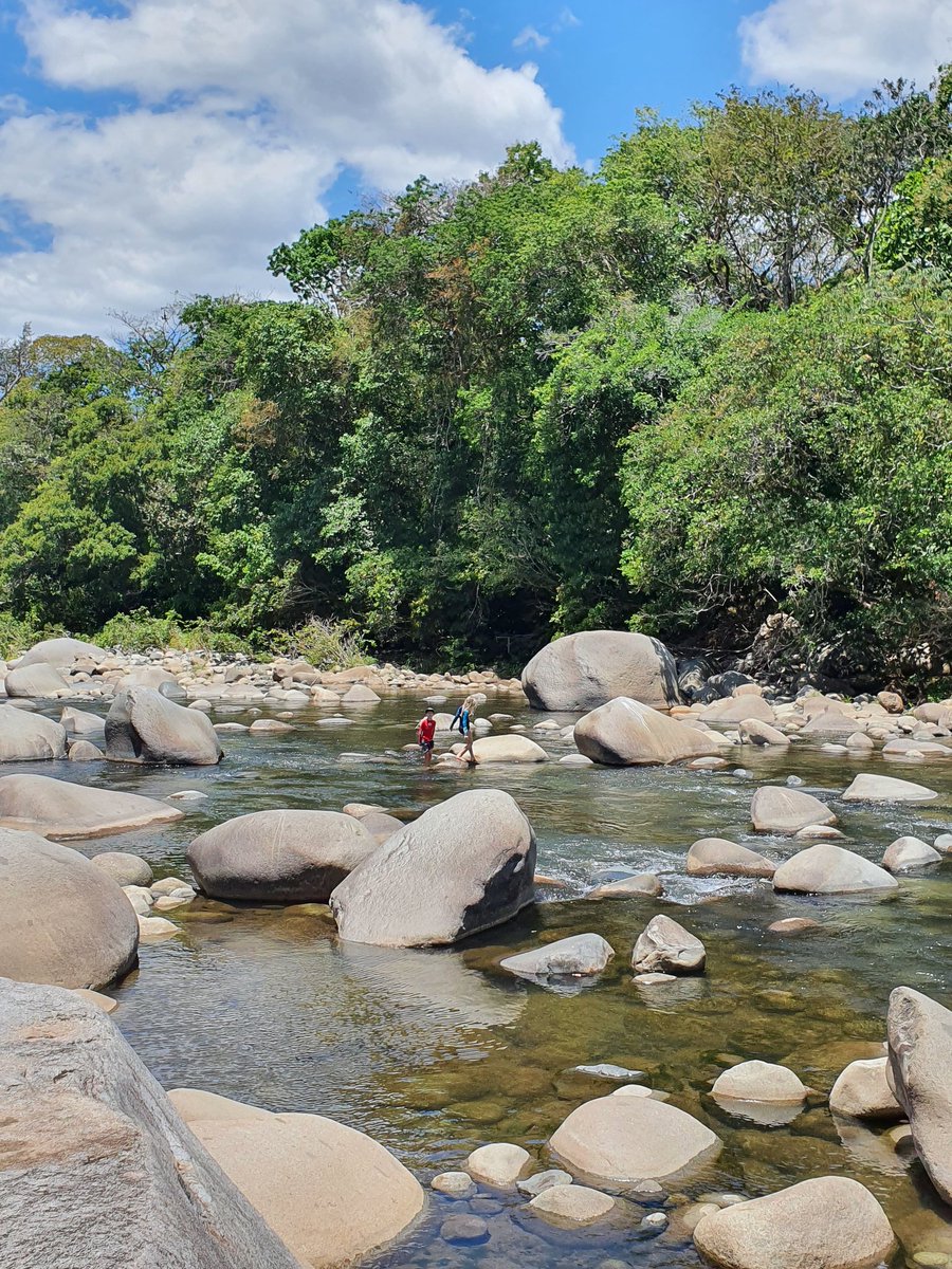 Con ganas de ir a Boquete? Aqui algunas imagenes para que no pierdas las ganas. #chiriqui #boquete #turismo <a href="/VisitPanama/">Visit Panama</a> <a href="/ATP_panama/">Autoridad de Turismo de Panamá</a> <a href="/promtur_panama/">PROMTUR PANAMA</a> <a href="/PanamaCamtur/">Camtur Camara Nacional de Turismo.</a>