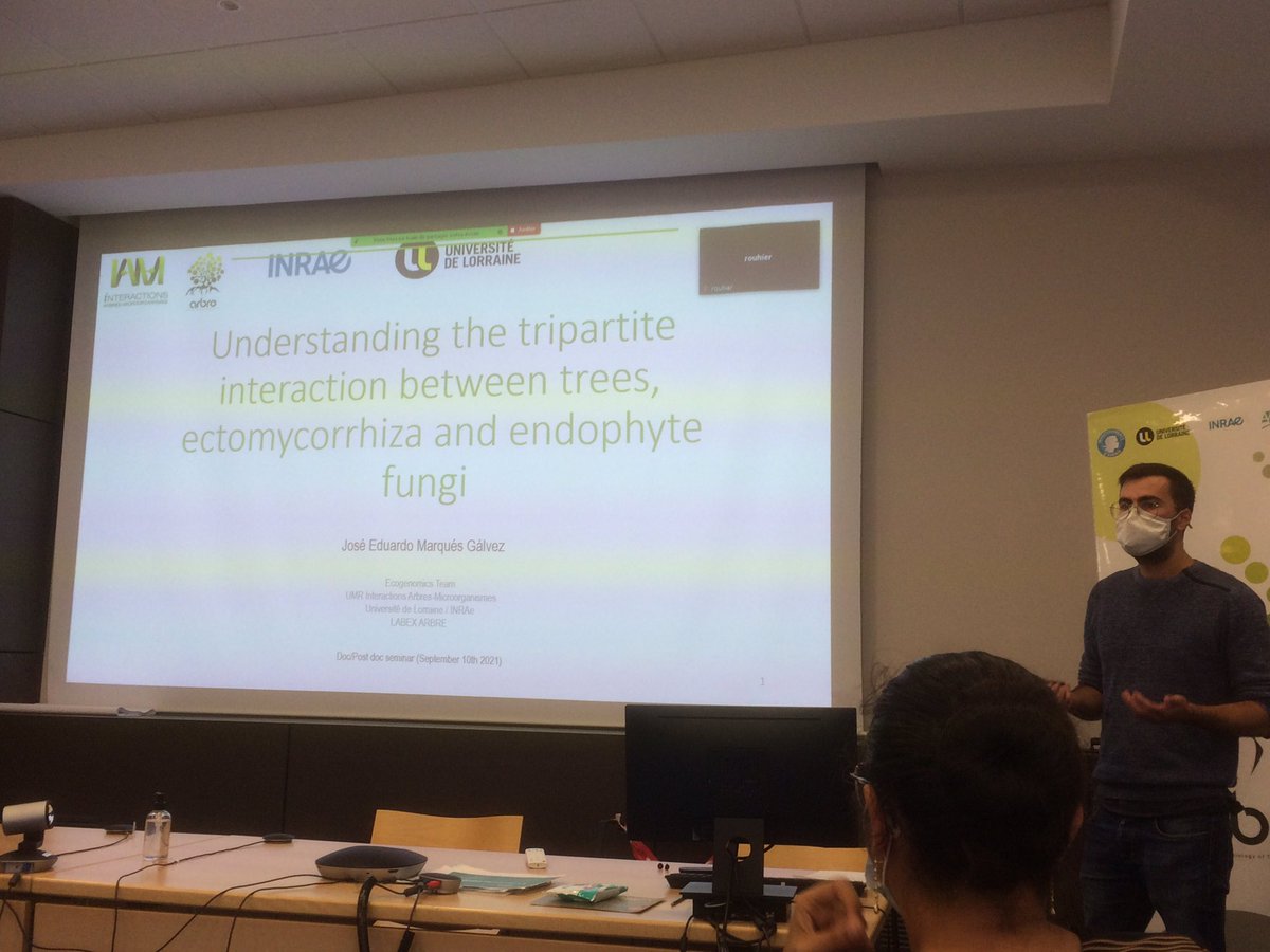 UMR_IAM's tweet photo. #PhDPostdocsDay: Jose E. Marqués Gálvez (@je_marques_gal) on “Understanding the tripartite interaction between #trees, #ectomycorrhiza and #endophyte #fungi” https://t.co/IwWrXE9ZoU