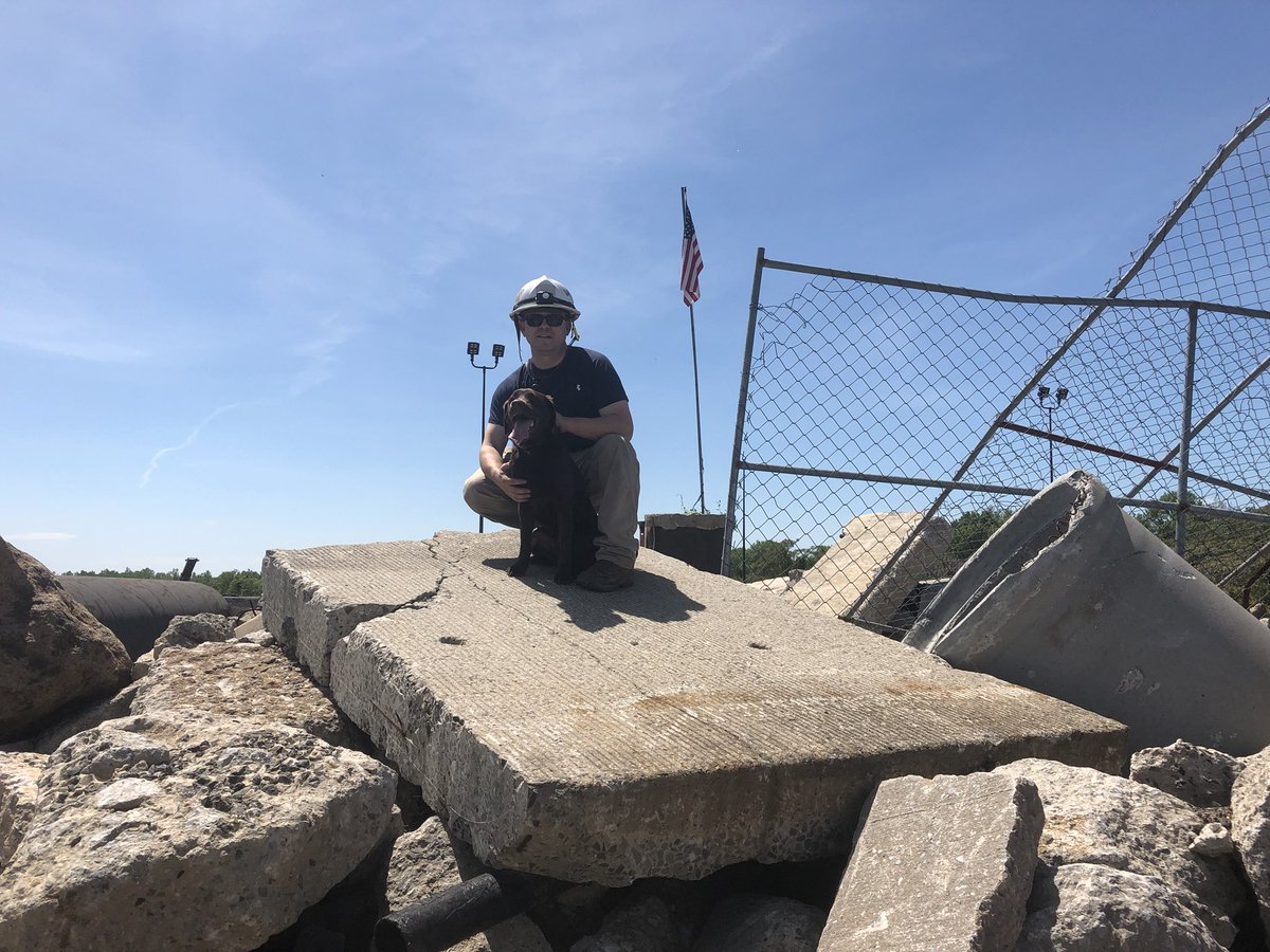 David Sullivan tweet media