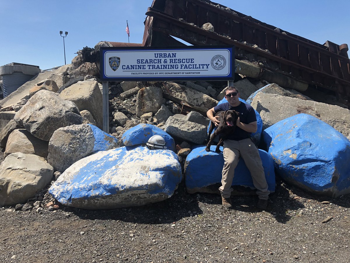 David Sullivan tweet media