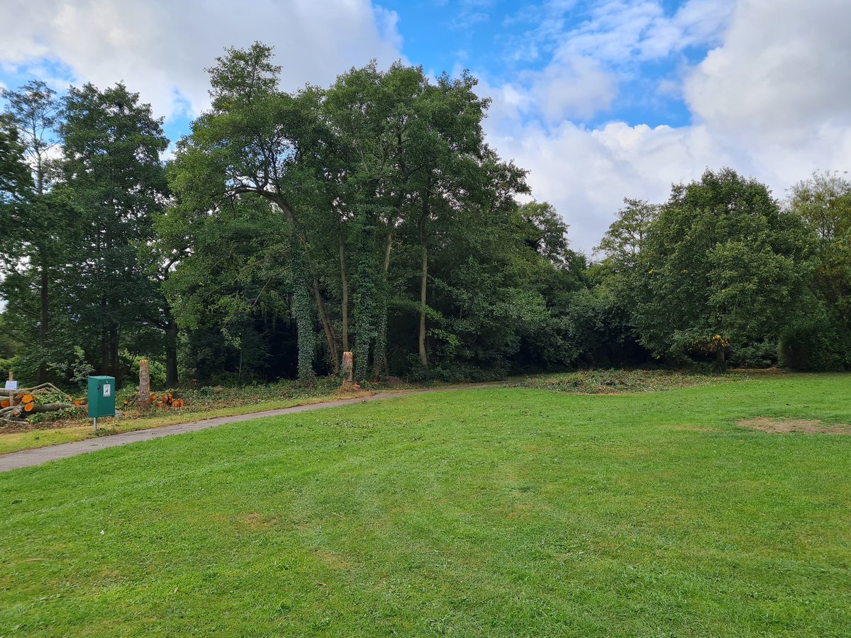 BorealTrees tweet media