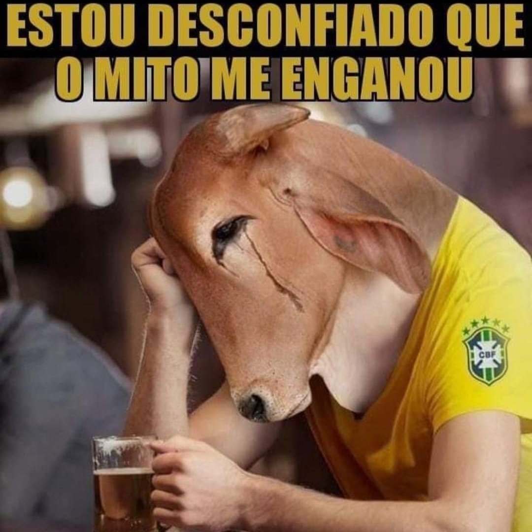 CorrupcaoMemes's tweet image. Levantaram a TAG #BolsonaroTraidor KKKKJJJJ