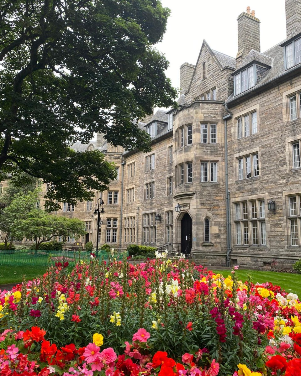 StAModLangs's tweet photo. The School of Modern Languages is #welcoming all its new and returning #students! We are looking forward to working with you!
#evertoexcel #LanguageIsLife #SpeakToTheWorld https://t.co/OPMCvEP3YN