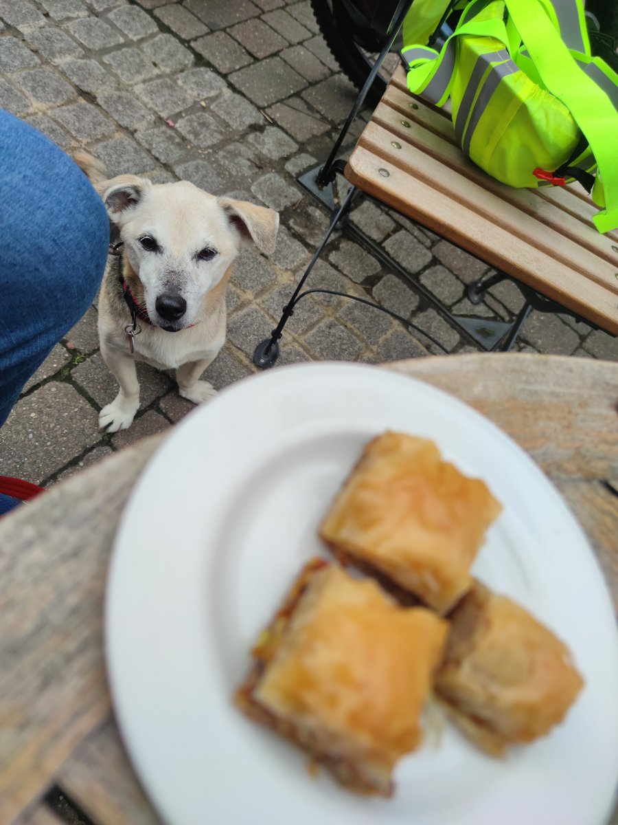 Firesnapper999's tweet photo. Thank you to team #CaffeMacchiato in #Aldershot for my #BikeOut refreshment break of Iraqi Tea & Baklava.😋 Benson not impressed, was only allowed the pastry flakes😳 #BadDad #MtbLife https://t.co/OYvHU5x0Zh