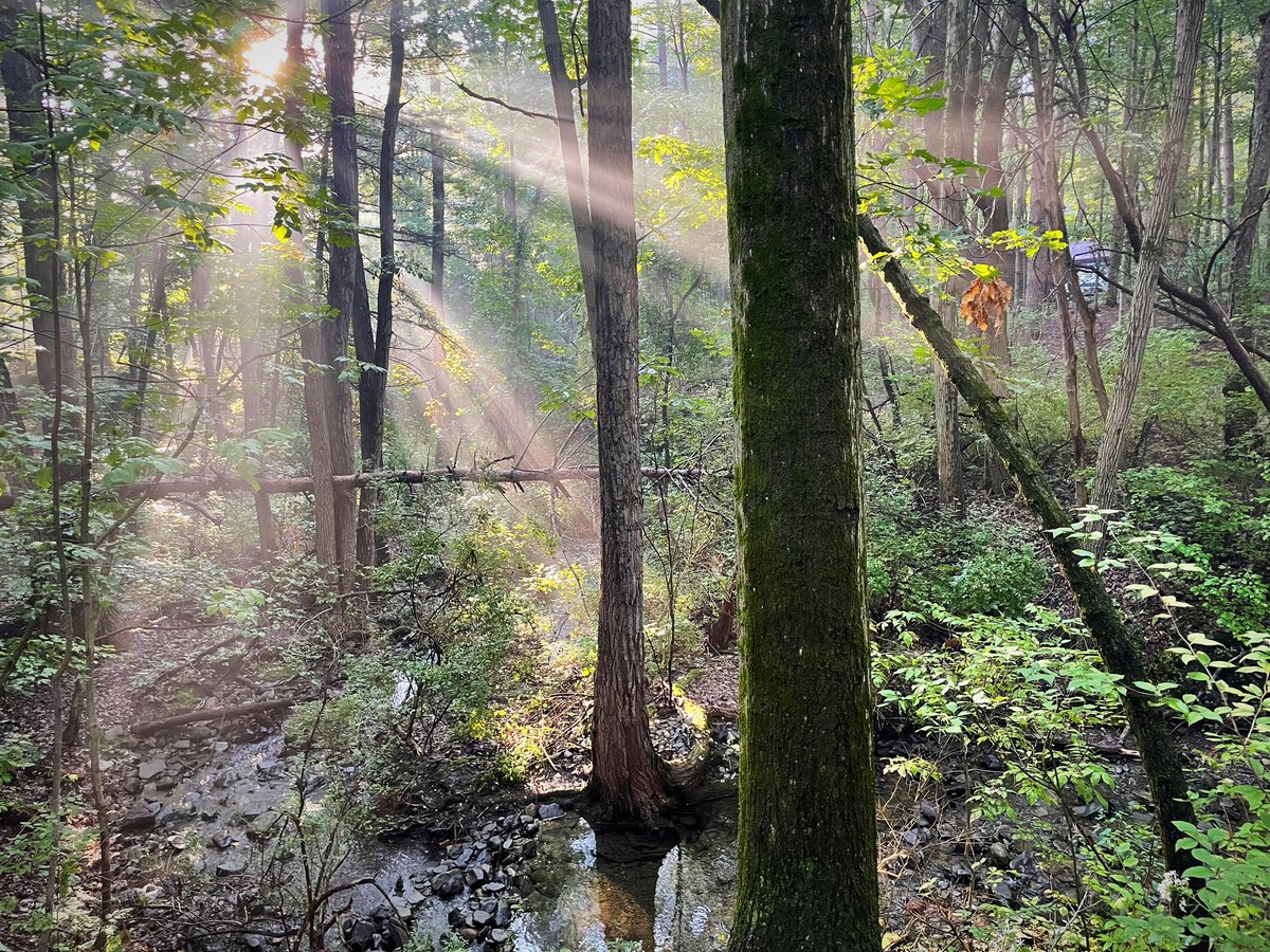 ConquerWild's tweet photo. Misty mornings at Watkins Glen 😍 https://t.co/00lzctExIj