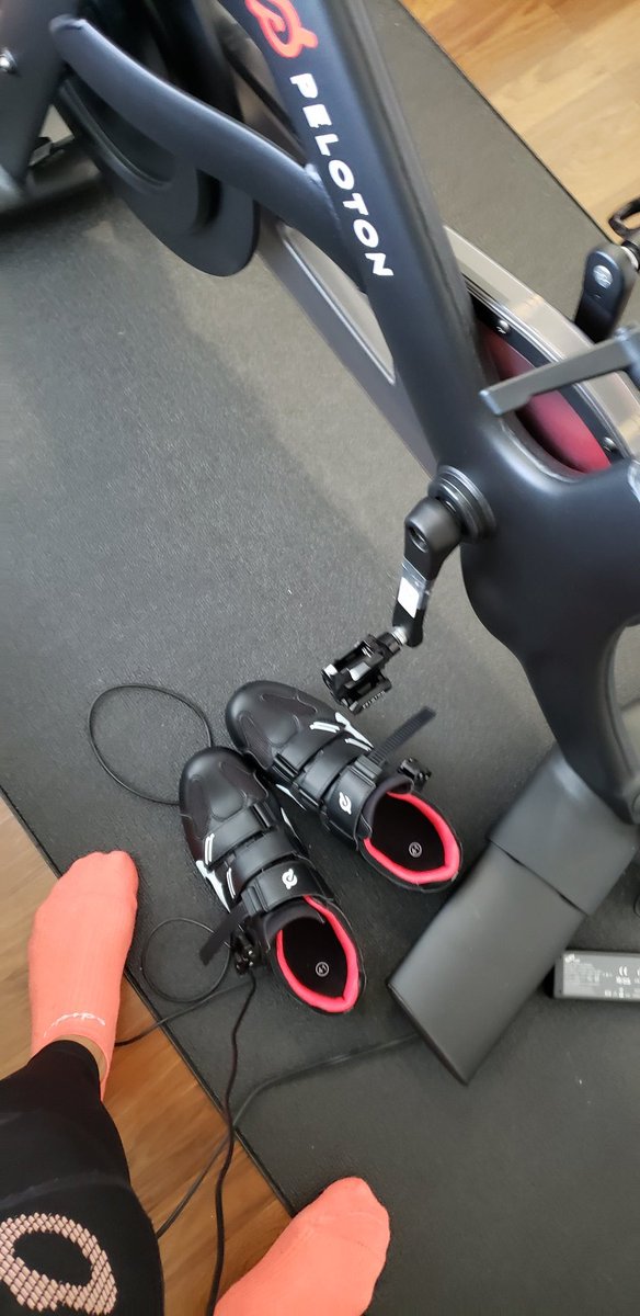 shireenahmed.bsky.social tweet media