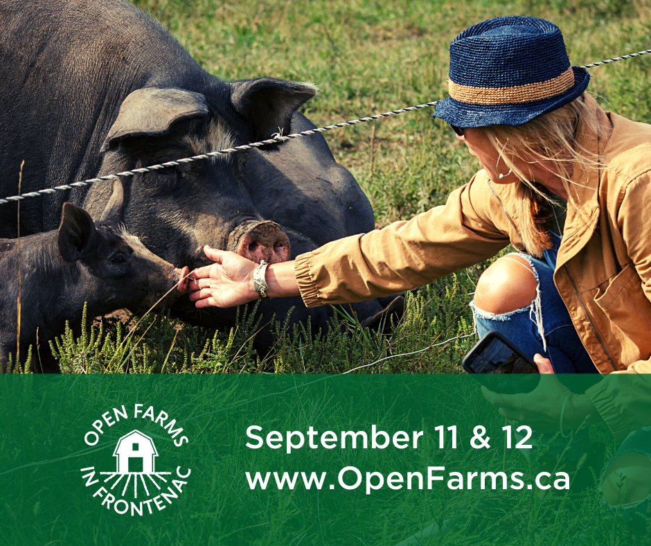 Reconnect with local food and the people who grow, produce, and prepare it during Open Farms this September! 👨‍🌾 🌾 

📆  September 10th - 17th (farm visits September 11 +12)
OpenFarms.ca  <a href="/FrontenacCounty/">Frontenac County</a>