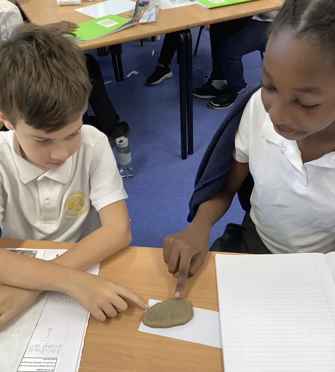 MrsMaxwellHCPS's tweet photo. Fun with fossils in science - what do fossils tell us about living things from many years ago? Are fossils always of living things that are extinct? #EvolutionAndInheritance #WeAreScientists #ExcellentElephants @HazelSchool https://t.co/e9fNqLvw4q