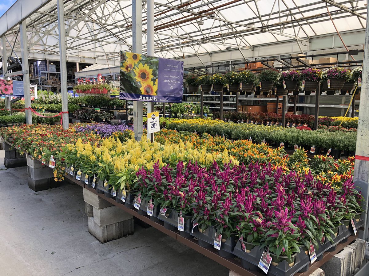 AlanF-Battlefieldfarms tweet media