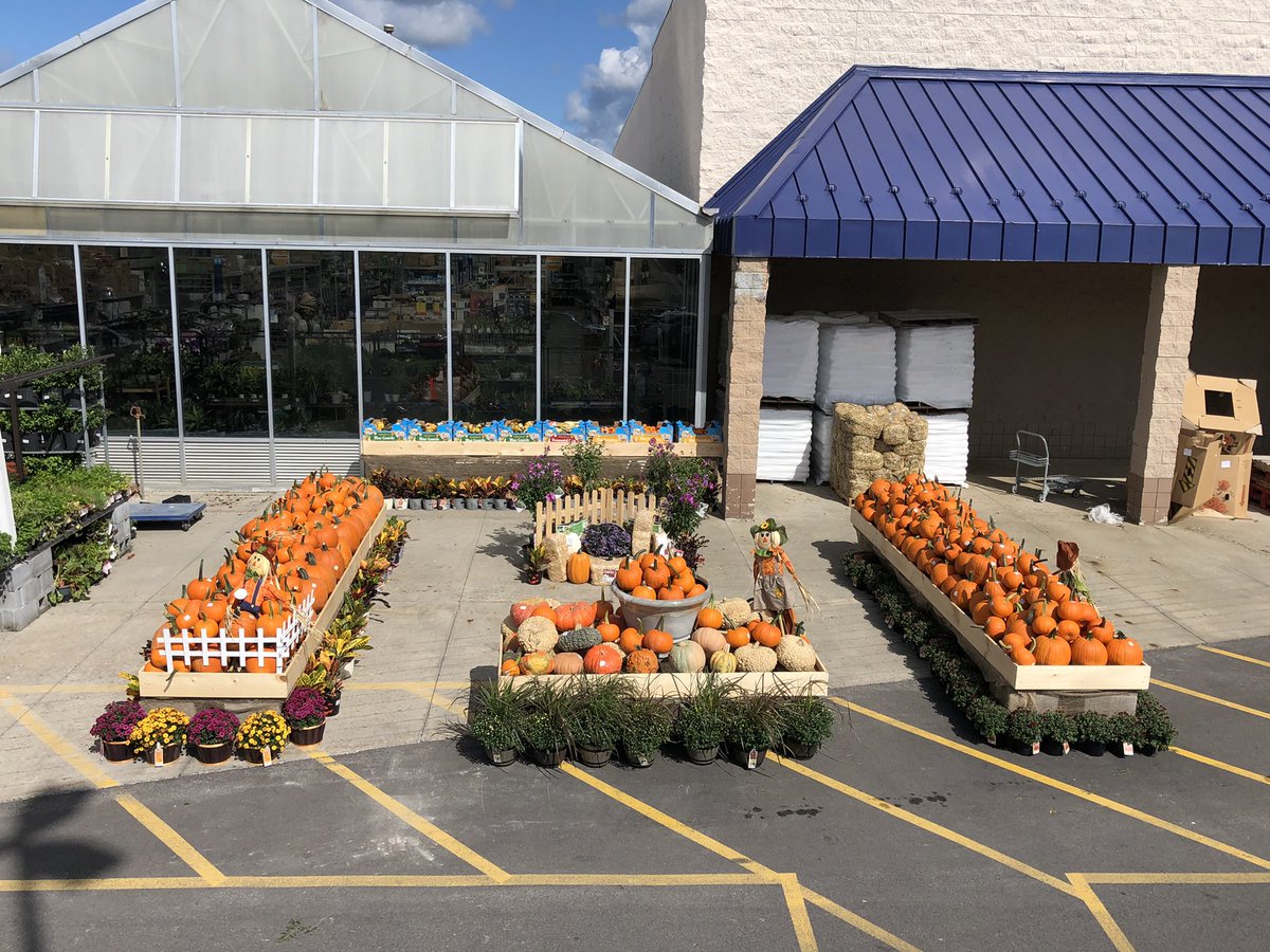 AlanF-Battlefieldfarms tweet media