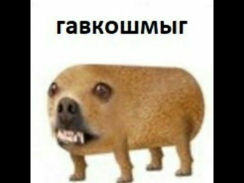 0l1ia's tweet photo. 😵 sorry https://t.co/RI32TDZ0F5