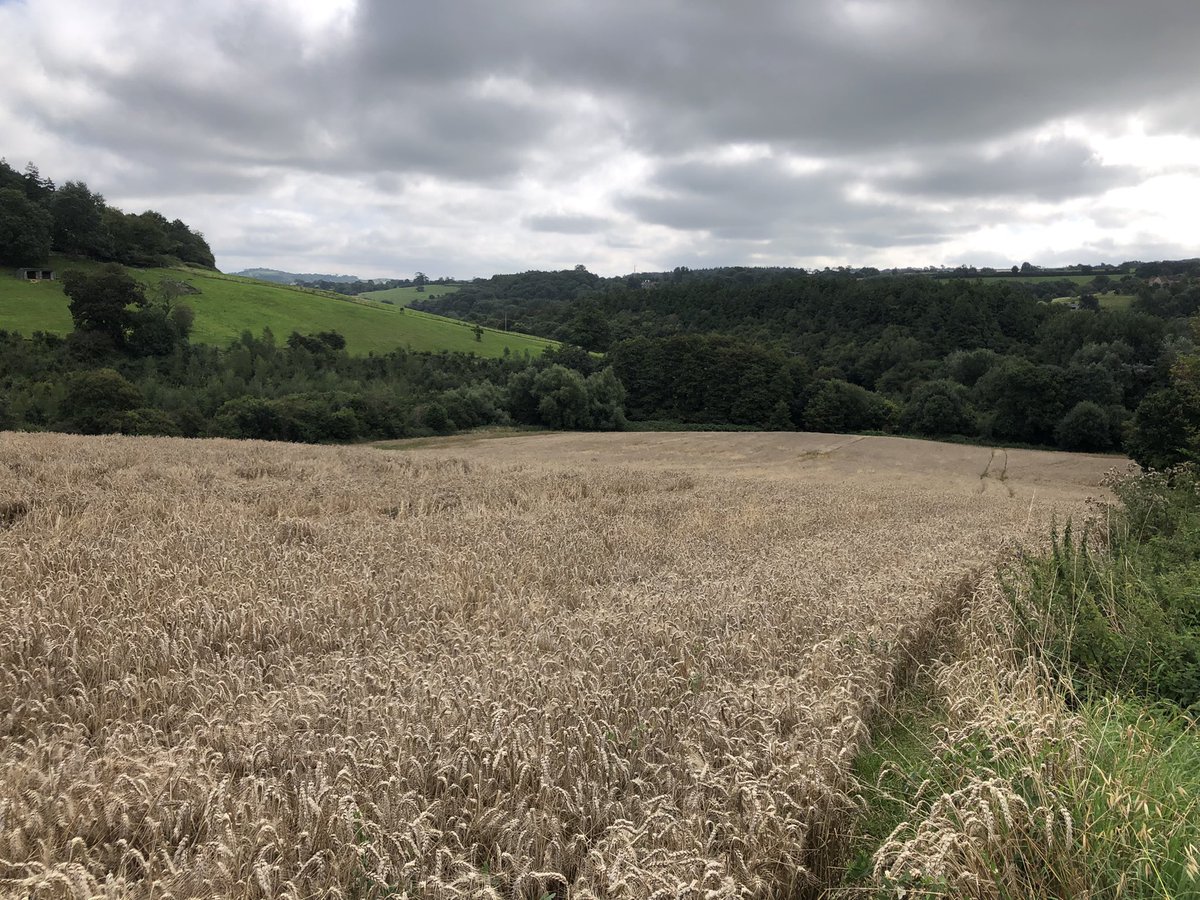 Explored the industrial heritage of Cam Valley Division on the latest <a href="/ggswechiefteam/">Girlguiding SWE Chief Commissioner Team</a> #GreatRegionRamble walking on the Colliers’ Way <a href="/RadstockMuseum/">Somerset Coalfield Life</a> , taking in small villages <a href="/yourpaulton/">Paulton Village</a> and swathes of agricultural land near PSJ  Next stop will be beside the sea in Portishead