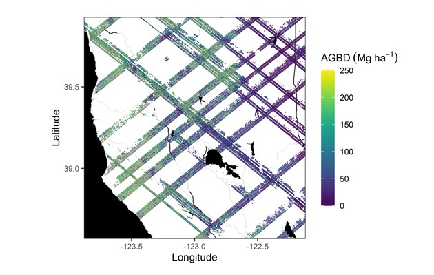 NASAEarthData's tweet photo. New! #Jupyter Notebook tutorials at the NASA #ORNLDAAC show users how to search, download, and subset the new Global Ecosystem Dynamics Investigation (#GEDI) L4A Footprint Level Aboveground Biomass Density, Version 1 dataset. Check them out at: https://t.co/ofrkK30r6I https://t.co/FAp4wTYEit